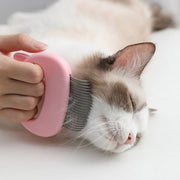 Pet Massage Brush