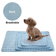 Summer Pad Mat For Dogs