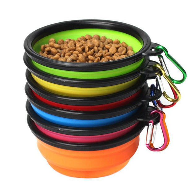 Pet Feeding Bowl