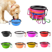 Pet Feeding Bowl