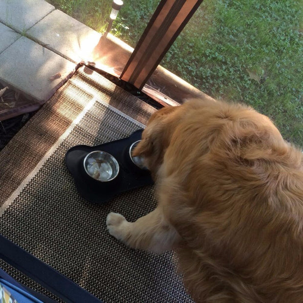 Stainless Steel Dog Bowl